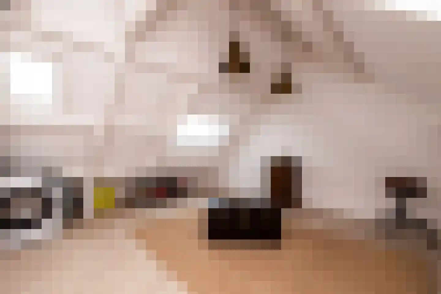 Zernikelaan 13 Schoonhoven thumbnail 44