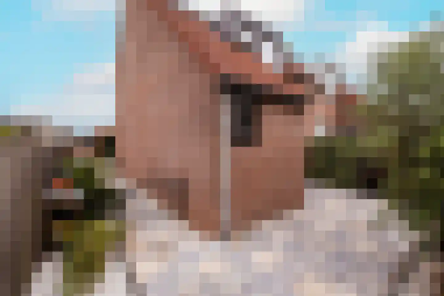 Zernikelaan 13 Schoonhoven thumbnail 47