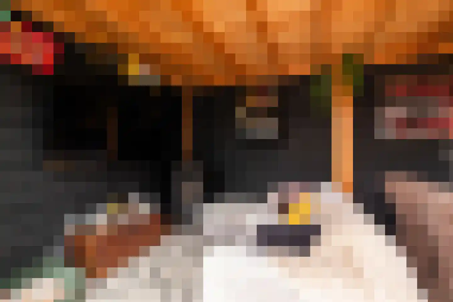 Zernikelaan 13 Schoonhoven thumbnail 52