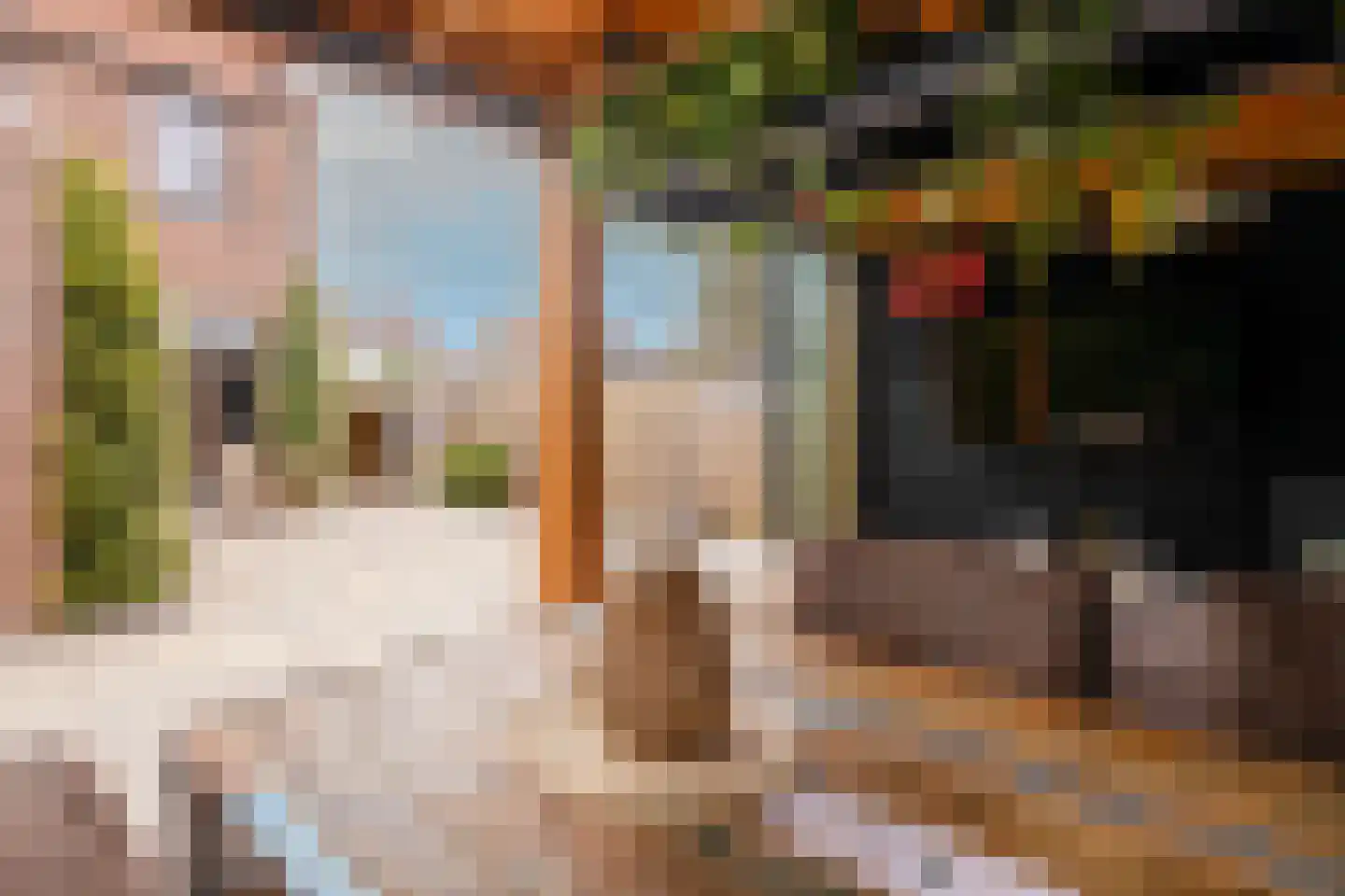 Zernikelaan 13 Schoonhoven thumbnail 54