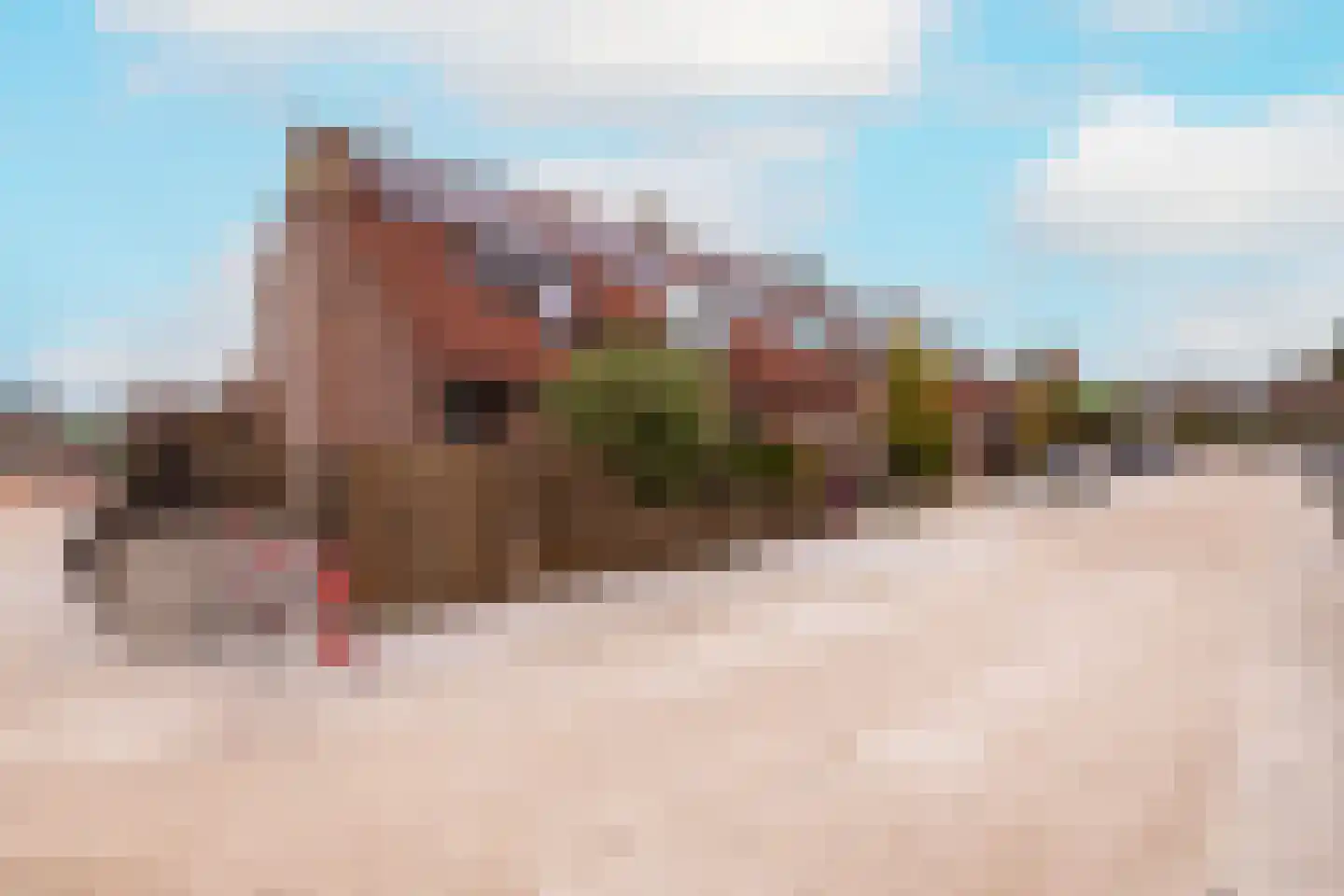 Zernikelaan 13 Schoonhoven thumbnail 61