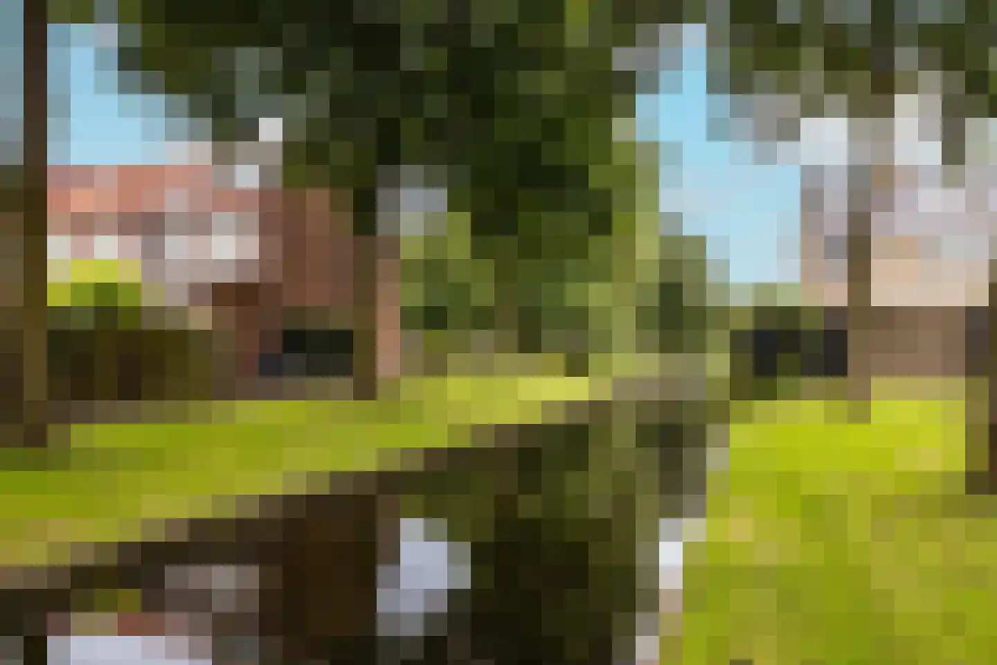 Zernikelaan 13 Schoonhoven thumbnail 64