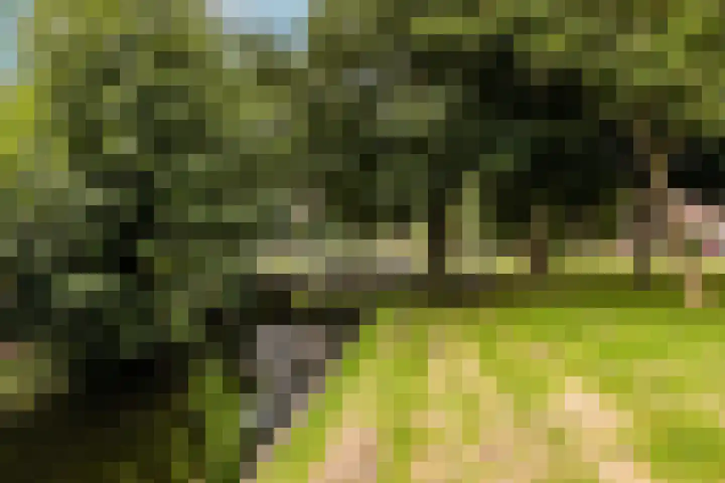 Zernikelaan 13 Schoonhoven thumbnail 66