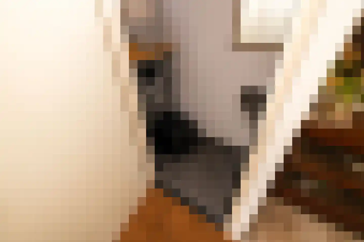 Zernikelaan 13 Schoonhoven thumbnail 8