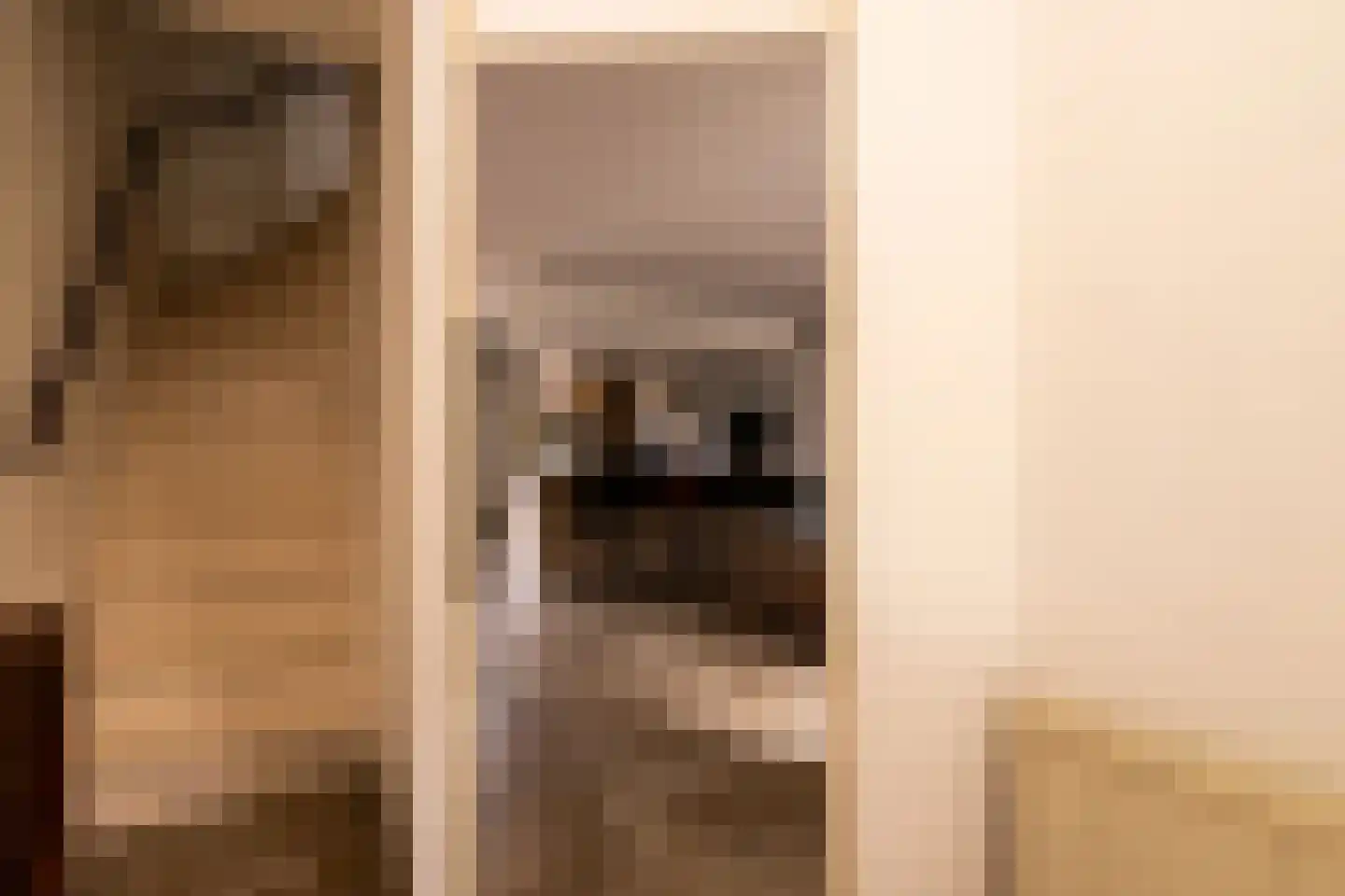 Zernikelaan 13 Schoonhoven thumbnail 9