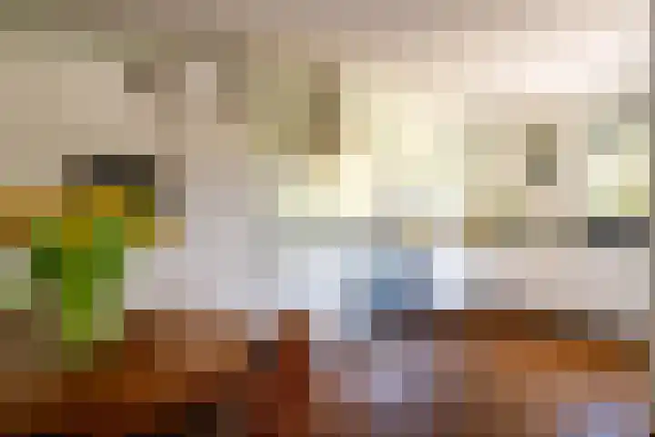Zernikelaan 21 Schoonhoven thumbnail 17