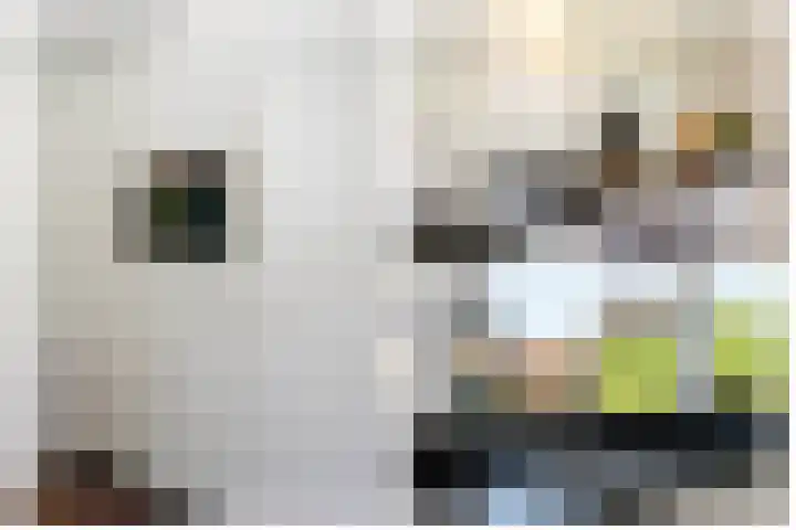 Zernikelaan 21 Schoonhoven thumbnail 19