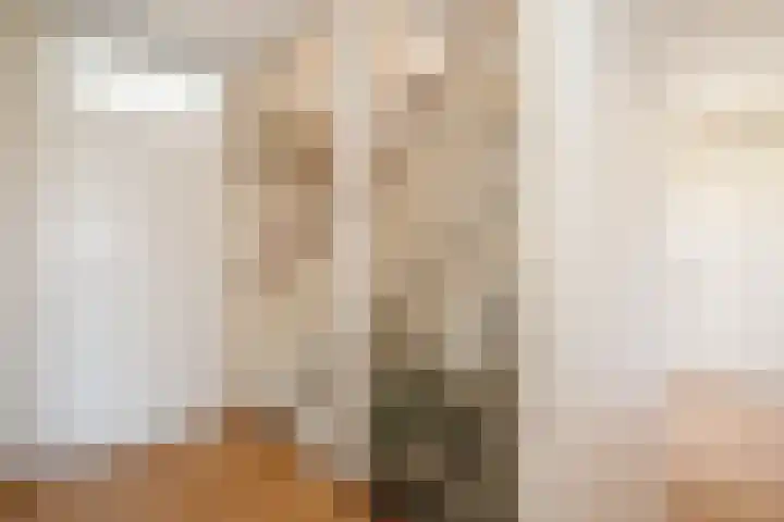 Zernikelaan 21 Schoonhoven thumbnail 20