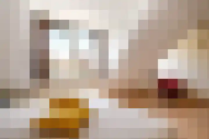 Zernikelaan 21 Schoonhoven thumbnail 24