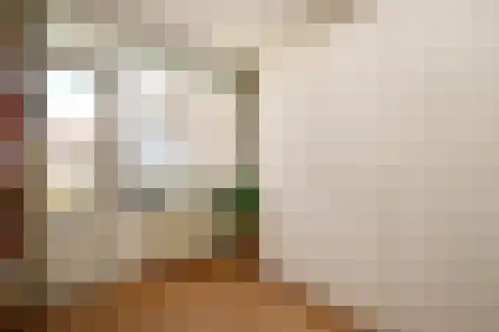 Zernikelaan 21 Schoonhoven thumbnail 25