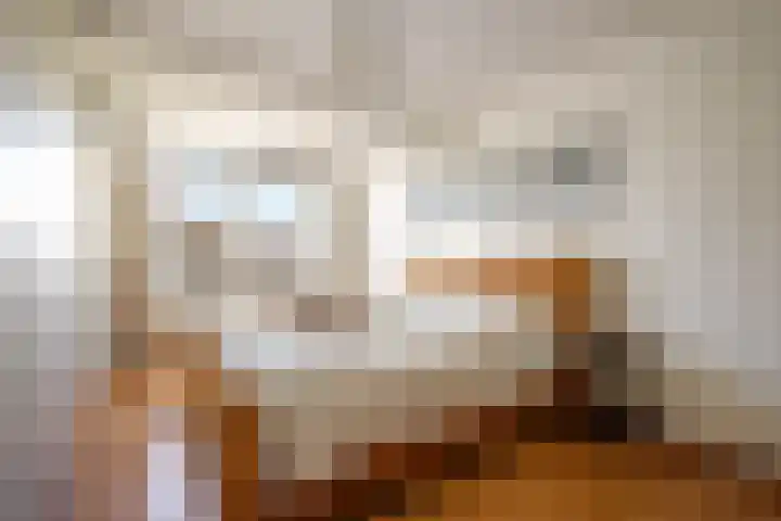 Zernikelaan 21 Schoonhoven thumbnail 28
