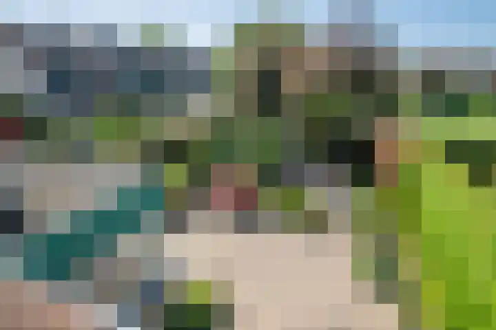 Zernikelaan 21 Schoonhoven thumbnail 32