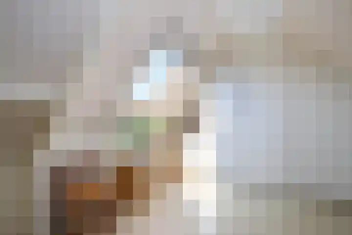 Zernikelaan 21 Schoonhoven thumbnail 34