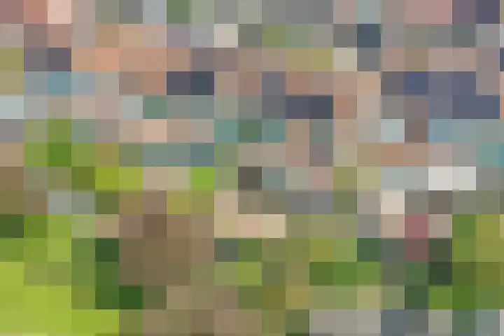 Zernikelaan 21 Schoonhoven thumbnail 38
