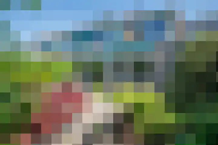Zernikelaan 21 Schoonhoven thumbnail 39