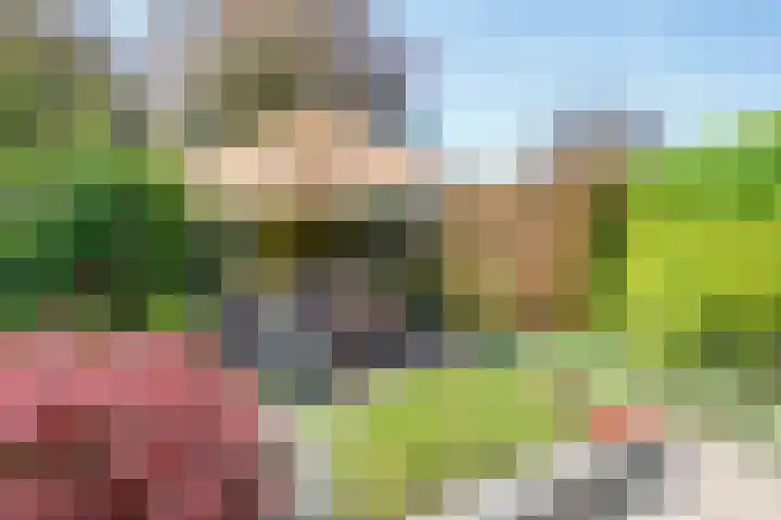Zernikelaan 21 Schoonhoven thumbnail 44