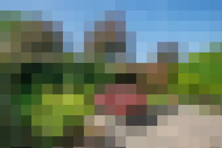 Zernikelaan 21 Schoonhoven thumbnail 45