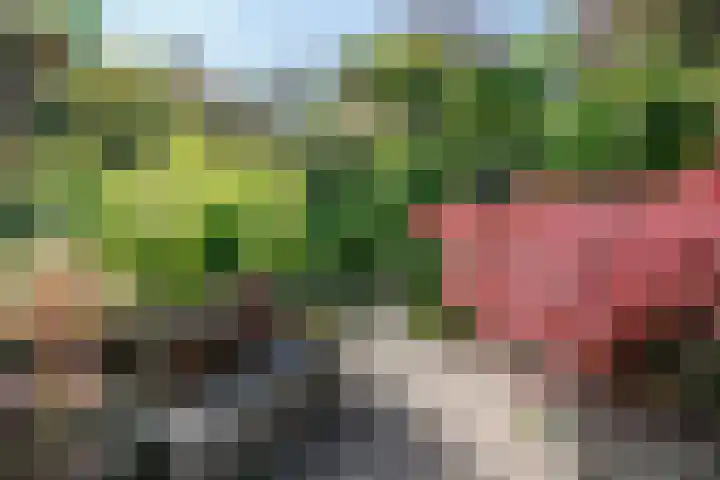 Zernikelaan 21 Schoonhoven thumbnail 46