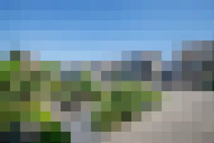 Zernikelaan 21 Schoonhoven thumbnail 48