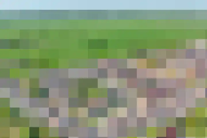 Zernikelaan 21 Schoonhoven thumbnail 49