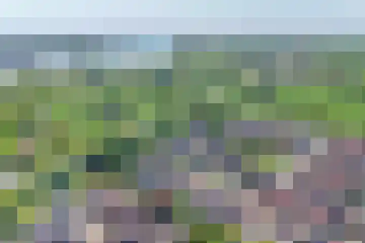 Zernikelaan 21 Schoonhoven thumbnail 50