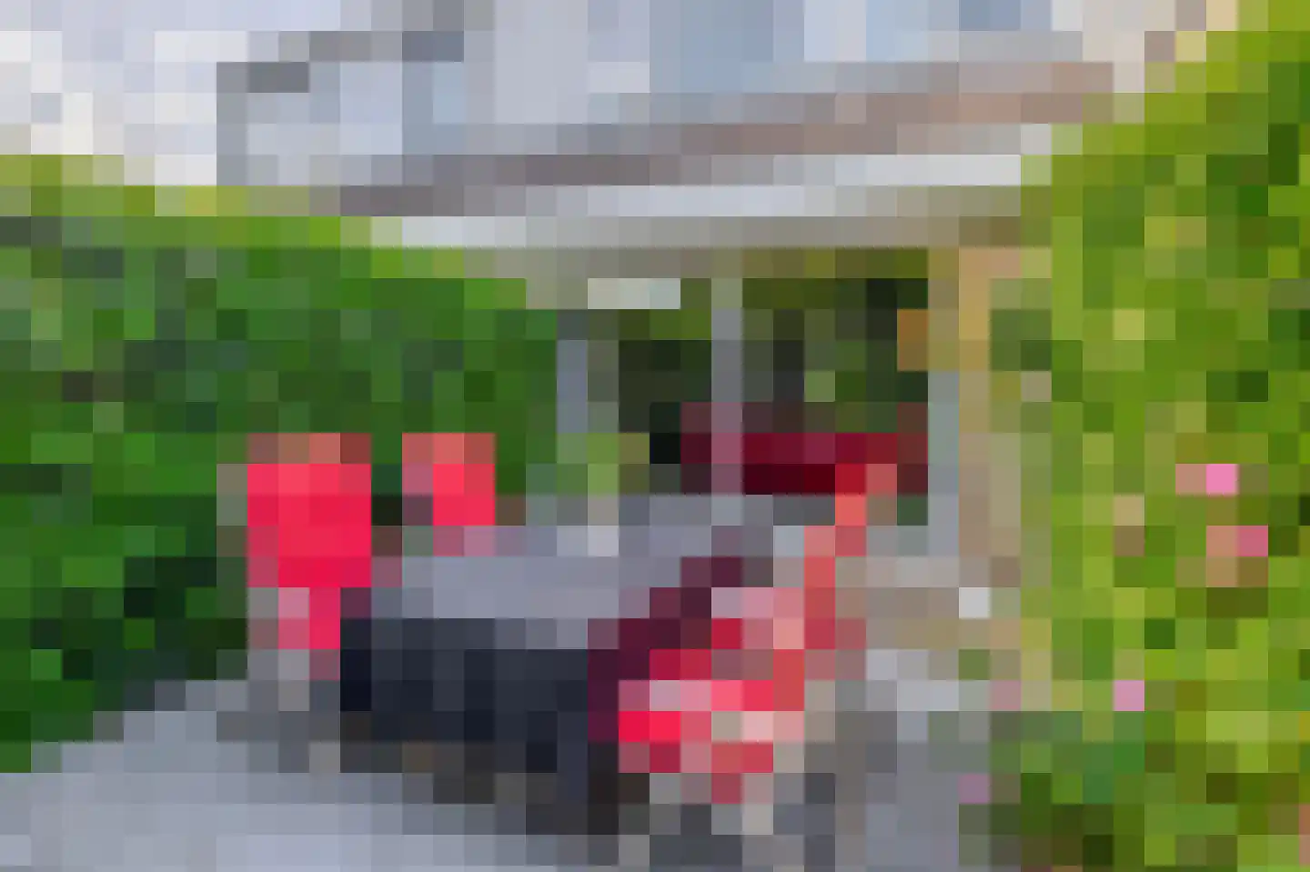 Zernikelaan 34 Schoonhoven thumbnail 18