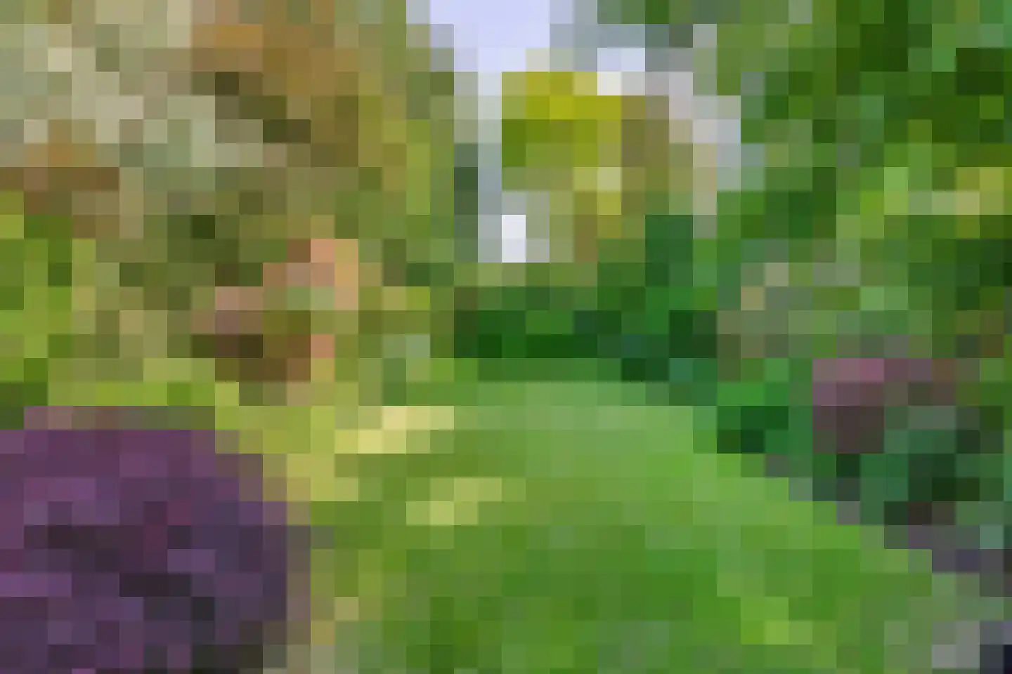 Zernikelaan 34 Schoonhoven thumbnail 19