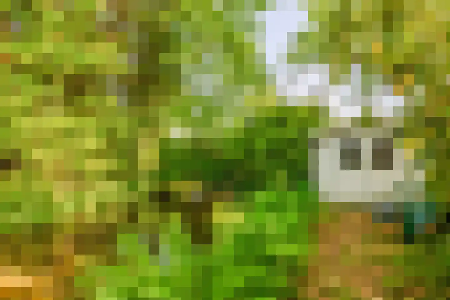 Zernikelaan 34 Schoonhoven thumbnail 21