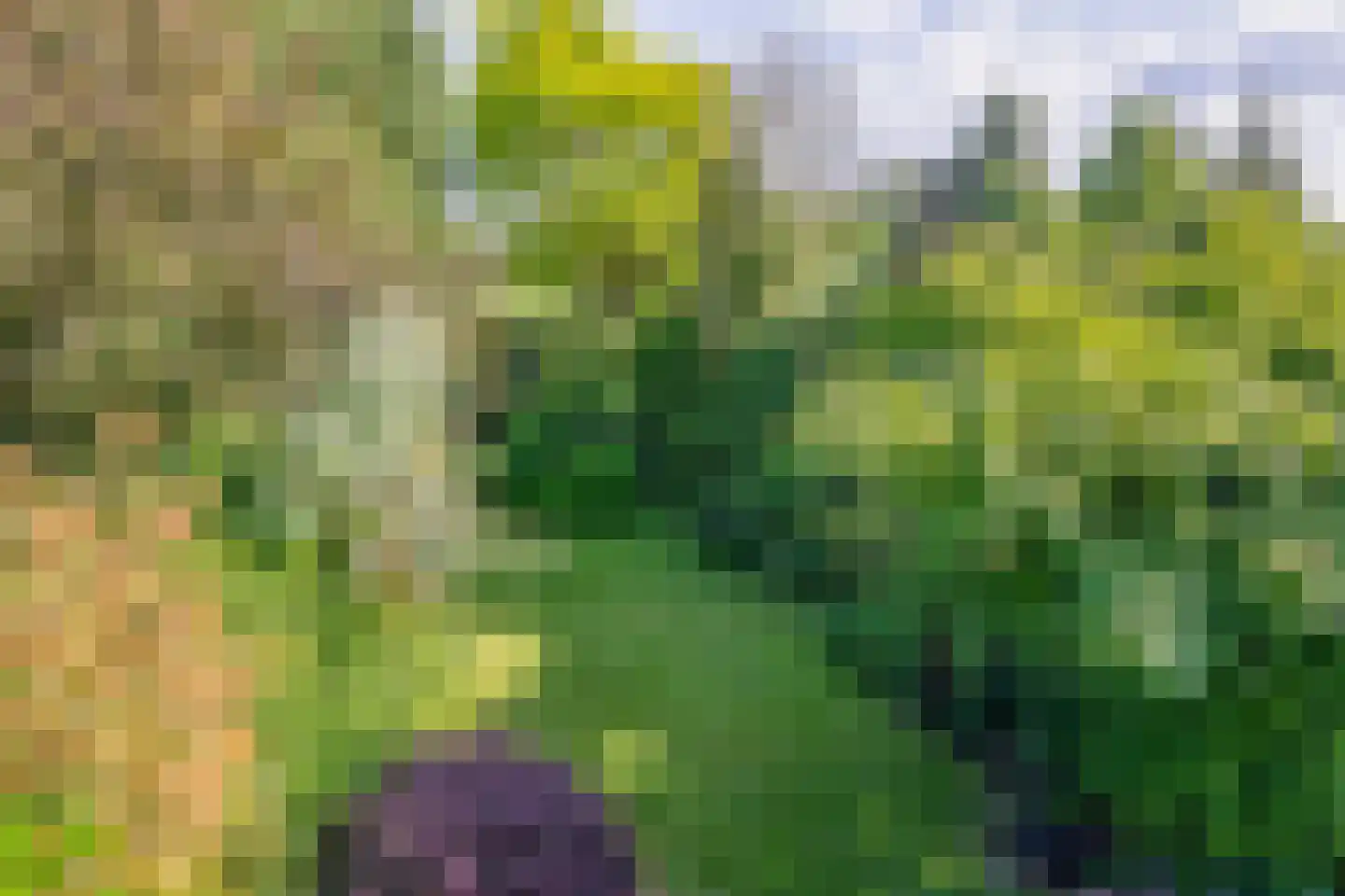 Zernikelaan 34 Schoonhoven thumbnail 28