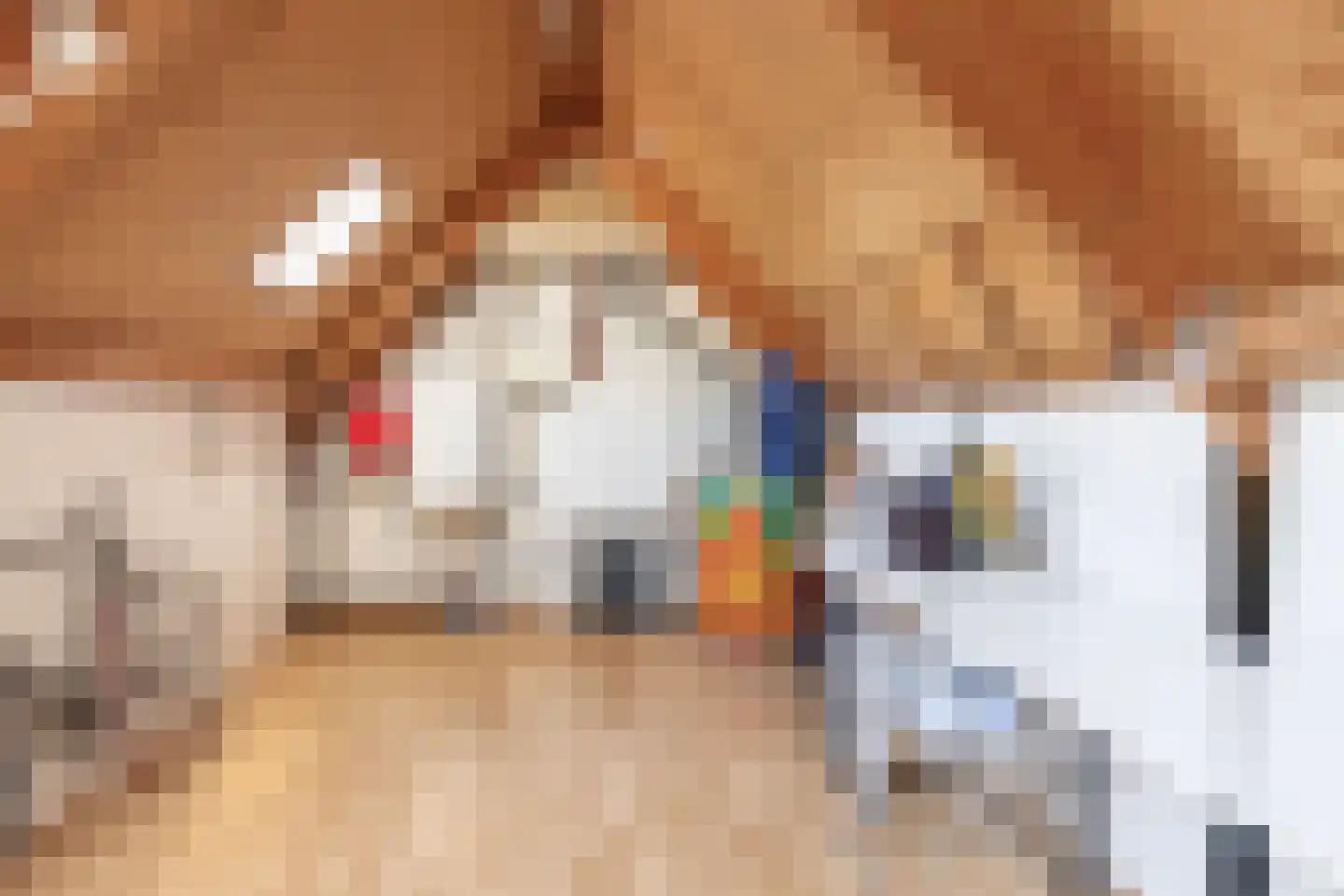 Zernikelaan 34 Schoonhoven thumbnail 37
