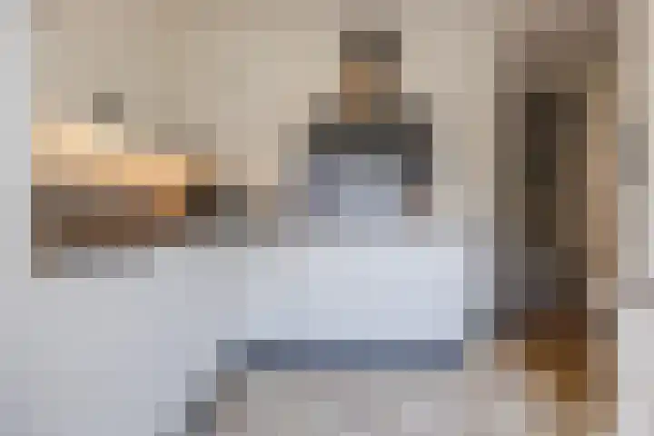 Zernikelaan 370 Papendrecht thumbnail 13