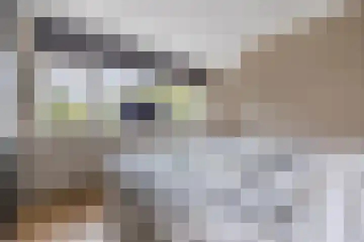 Zernikelaan 370 Papendrecht thumbnail 18