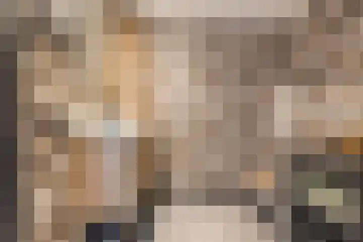 Zernikelaan 370 Papendrecht thumbnail 19