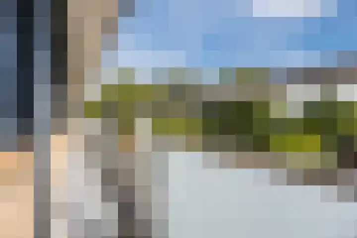 Zernikelaan 370 Papendrecht thumbnail 25