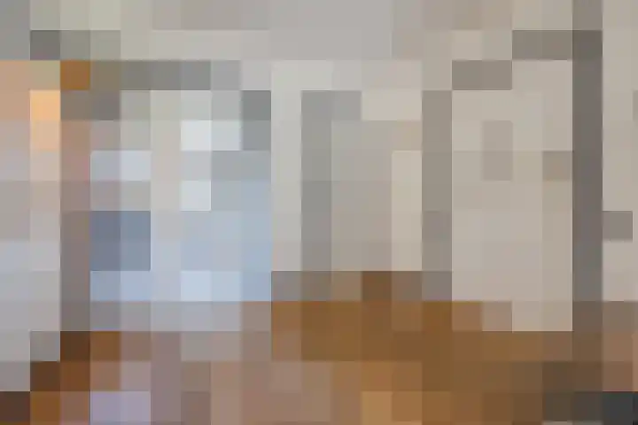 Zernikelaan 370 Papendrecht thumbnail 27