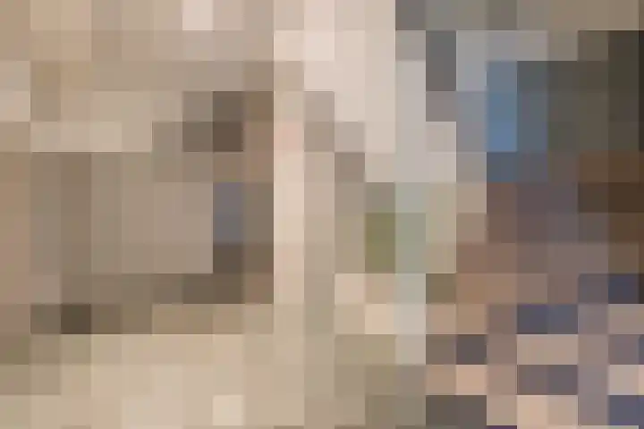 Zernikelaan 370 Papendrecht thumbnail 30