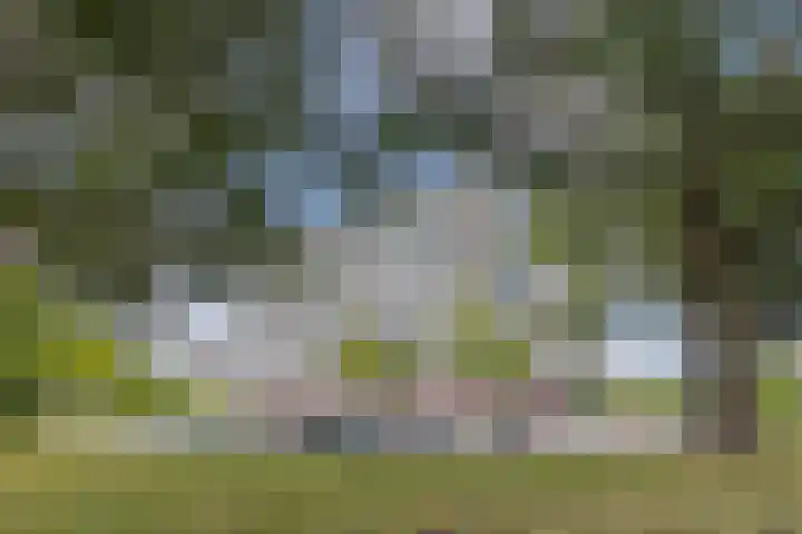 Zernikelaan 370 Papendrecht thumbnail 31