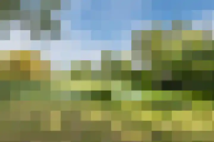 Zernikelaan 370 Papendrecht thumbnail 32