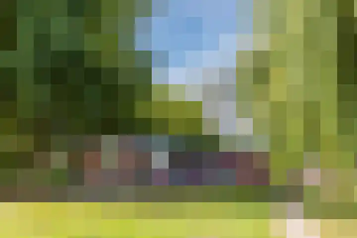 Zernikelaan 370 Papendrecht thumbnail 33