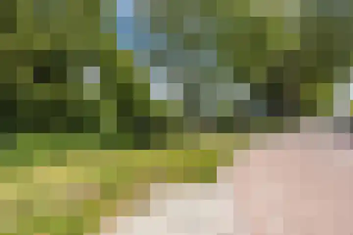 Zernikelaan 370 Papendrecht thumbnail 34