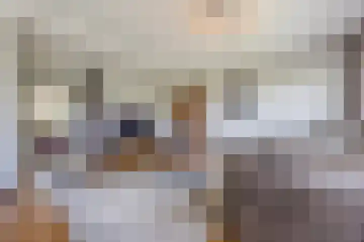 Zernikelaan 370 Papendrecht thumbnail 7