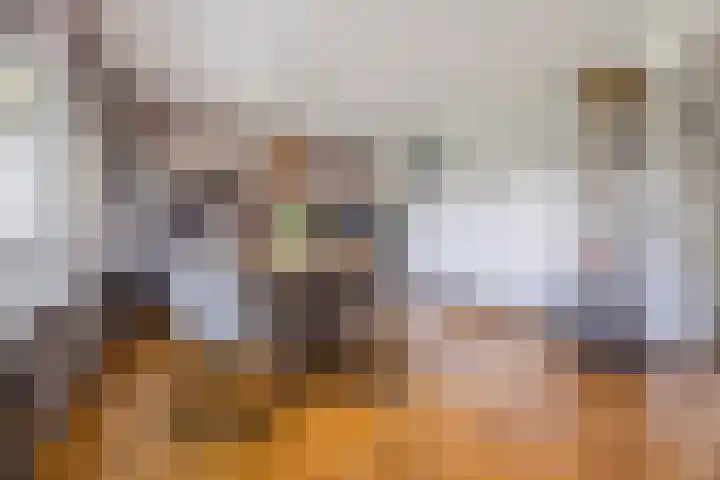 Zernikelaan 370 Papendrecht thumbnail 9