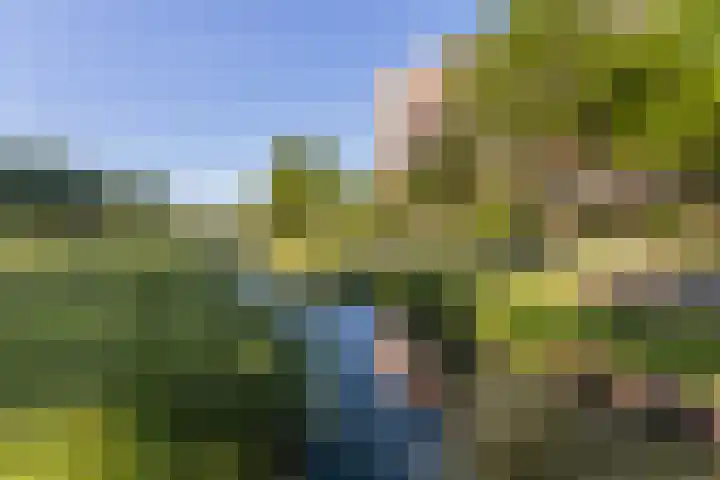 Zernikelaan 386 Papendrecht