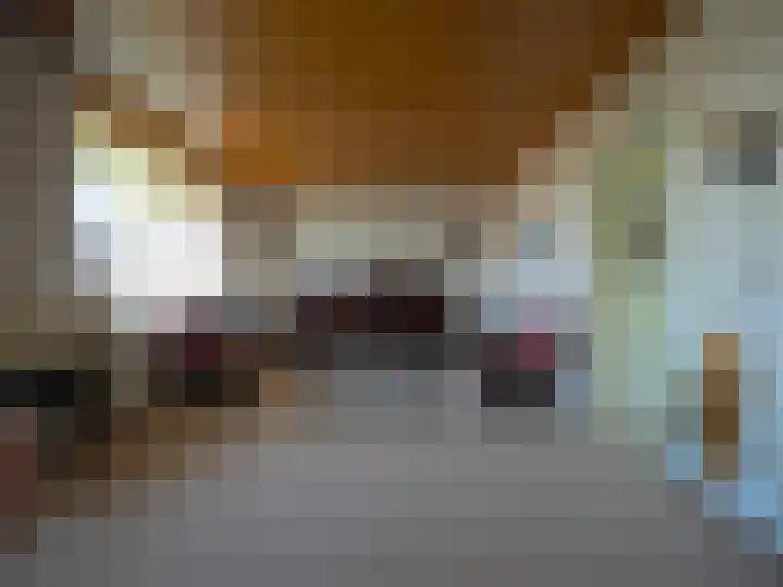 Zernikelaan 428 Papendrecht thumbnail 18