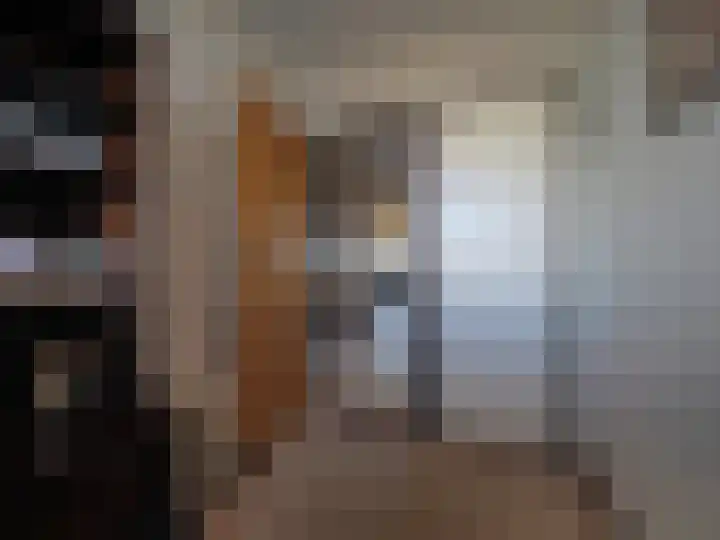 Zernikelaan 428 Papendrecht thumbnail 31