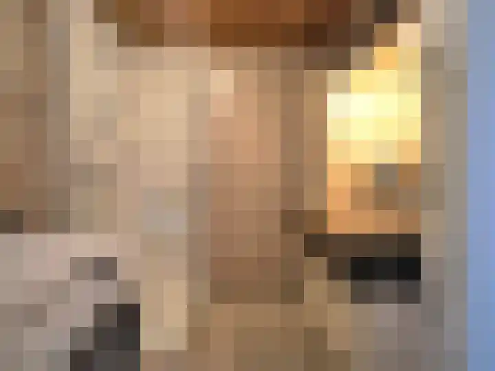Zernikelaan 428 Papendrecht thumbnail 33