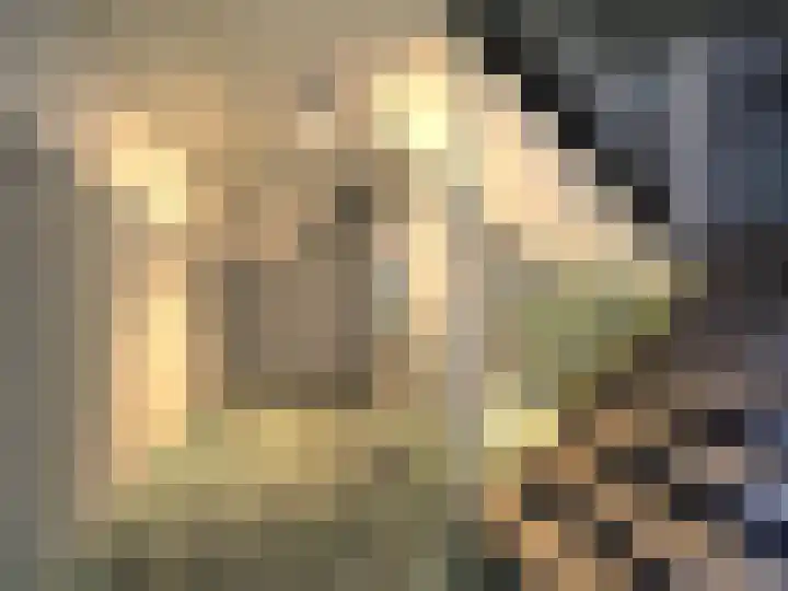Zernikelaan 428 Papendrecht thumbnail 7
