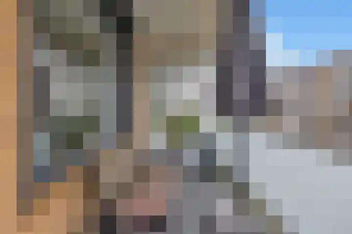 Zernikelaan 430 Papendrecht thumbnail 11