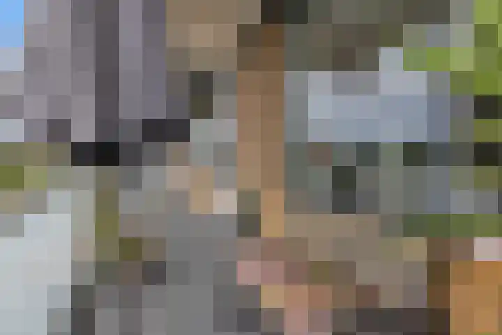 Zernikelaan 430 Papendrecht thumbnail 12