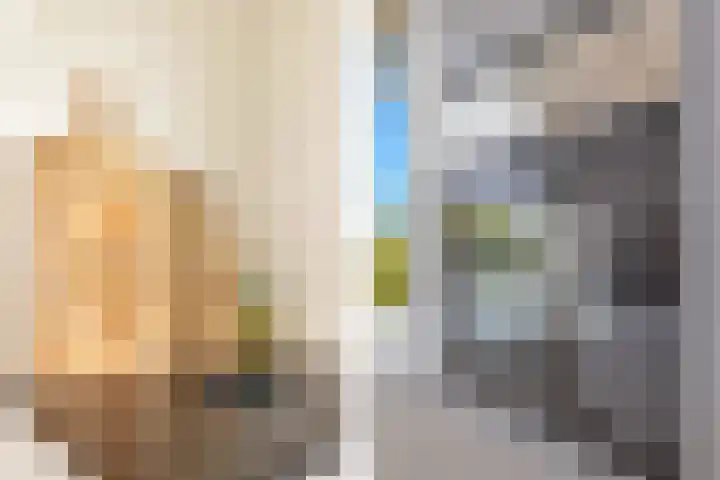 Zernikelaan 430 Papendrecht thumbnail 15